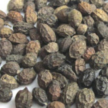 【鸦胆子仁】最新最全鸦胆子仁 产品参考信息