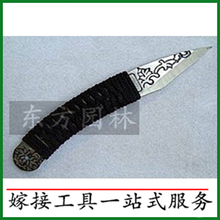 波罗树苗嫁接刀法图解_丑橘树苗_吊兰嫁接_扁桃树苗 ...
