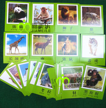 【认识动物卡片】最新最全认识动物卡片 产品