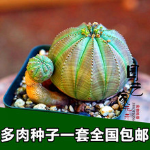 【珍贵稀有】最新最全珍贵稀有 产品参考信息