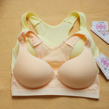 【<em>爱慕无钢圈</em>内衣】最新最全<em>爱慕无钢圈</em>内衣 