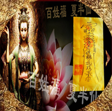 茅山通灵符怎么画 搞笑图片