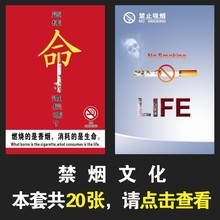 【吸烟海报】最新最全吸烟海报 产品参考信息