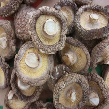 【东北黑蘑菇】最新最全东北黑蘑菇 产品参考