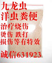九龙虫怎么吃法_淘宝网九龙虫产品排行九龙虫怎么吃九龙虫高