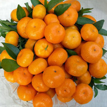 【四川特产水果】最新最全四川特产水果 产品