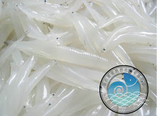 【新鲜小银鱼】最新最全新鲜小银鱼 产品参考