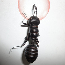 【仿小蚂蚁】最新最全仿小蚂蚁 产品参考信息