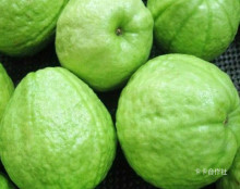 【芭乐果】_粮油价格_最新最全粮油返利优惠_一淘网