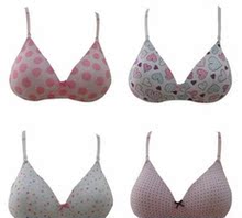 【<em>少女无钢圈定型文胸</em>】最新最全<em>少女无钢圈定</em>