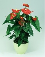 【南京同城快递】最新最全南京同城快递 产品