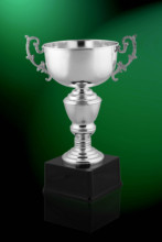【欧洲冠军杯奖杯】最新最全欧洲冠军杯奖杯 