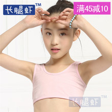 【<em>胸罩宽带</em>】最新最全<em>胸罩宽带</em> 产品参考信息