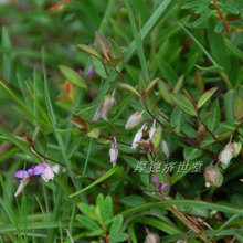 【金锁匙】最新最全金锁匙 产品参考信息_一淘搜索