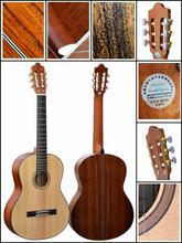 【樱花吉他】最新最全樱花吉他 产品参考信息