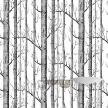 【白桦树墙纸】最新最全白桦树墙纸 产品参考