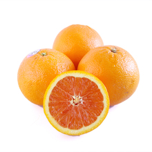 【新奇士血橙】最新最全新奇士血橙 产品参考