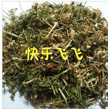 【繁缕草】最新最全繁缕草 产品参考信息