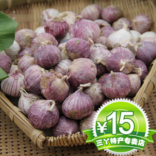 【东北大蒜】最新最全东北大蒜返利优惠