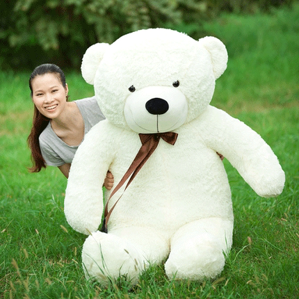 布娃娃可爱超大号毛绒玩具泰迪熊大熊抱抱熊公