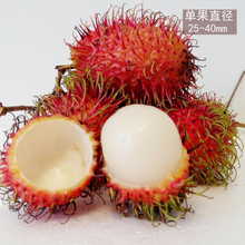 【红牡丹水果】最新最全红牡丹水果搭配优惠