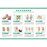 骨科常用-型 椎间盘骨科教学骨骼模型中医伤科