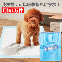 【泰迪狗尿不湿】_宠物价格_最新最全宠物返