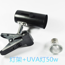 【乌龟晒背灯】最新最全乌龟晒背灯返利优惠_