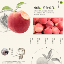 【爆款文案】最新最全爆款文案返利优惠