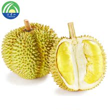 【泰国猫山王榴莲】最新最全泰国猫山王榴莲搭