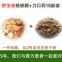 雄杨桃根500克-石皮石韦石兰 另雄洋桃根 杨桃