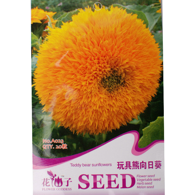 花种子批发行业动态：市场现状与前景展望