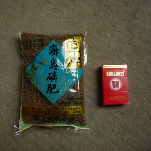 皇冠推荐 北京缤纷种子 紫罗兰 花种 广东广州地