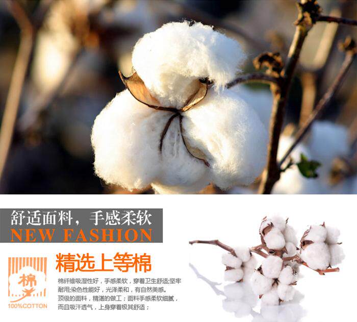 新款<em>中老年</em>男士<em>短裤</em>夏季<em>休闲</em>裤 纯棉水洗中年