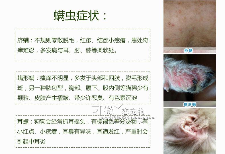 特价伊维菌素治疗螨虫皮肤病狗疥螨掉毛宠物用品驱虫药送针筒10支