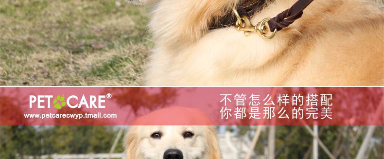 Ошейник для животных петкер Pet воротник собака воротник домашнее животное р цепь собака цепь высокого качества латунь оснастки крышек нагруженный термин Ошейник для животных петкер Pet воротник собака воротник домашнее животное р цепь собака цепь высокого качества латунь оснастки крышек нагруженный термин