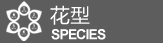 套件花型