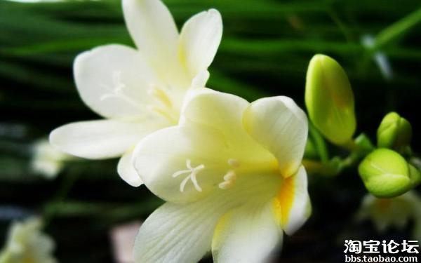 怎样给青春期的女孩子选内衣<em>文胸</em> - <em>淘宝</em>杂谈 