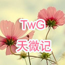 TwG天微记 LOGO-APP點子