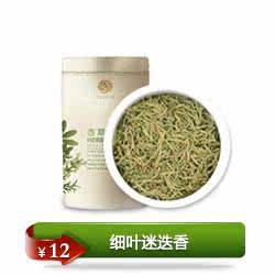 促销 迷迭香提神醒脑 记忆的海洋