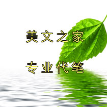 代写英语文章英文翻译英语作文代写检查反思录