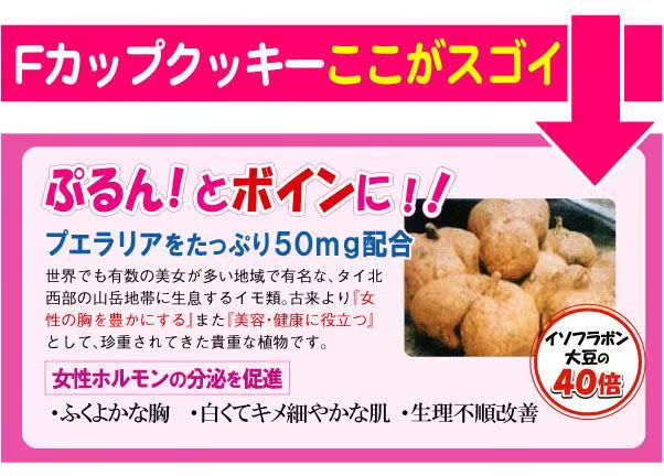 日本f Cup 豆乳 野葛根豐胸飽腹餅乾 朱古力味 服飾用品 澳門流動社區cyberctm Com