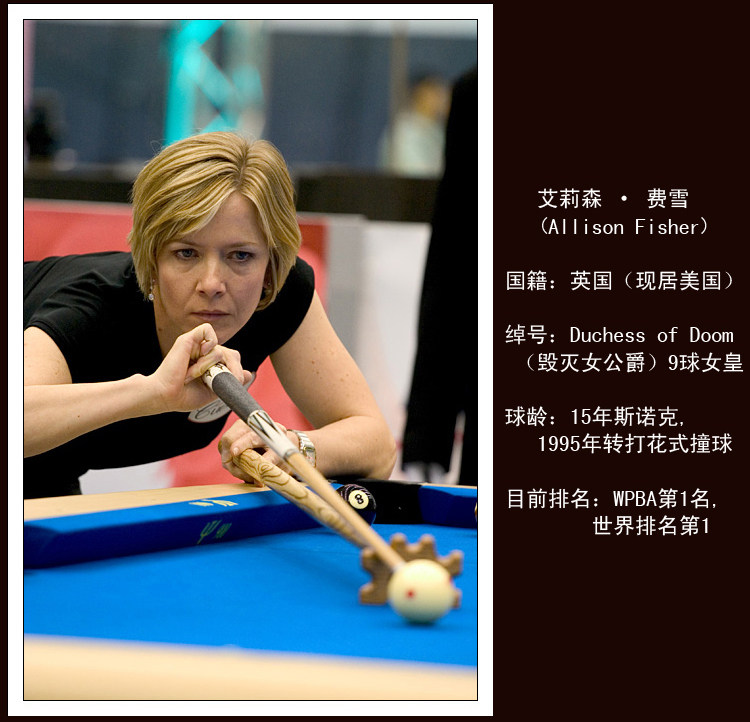 кий для бильярда ea816 Fury EarthLite 