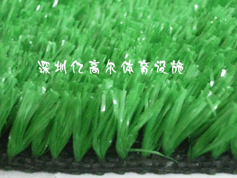 供应东莞人造草坪-广东人工草皮地毯 