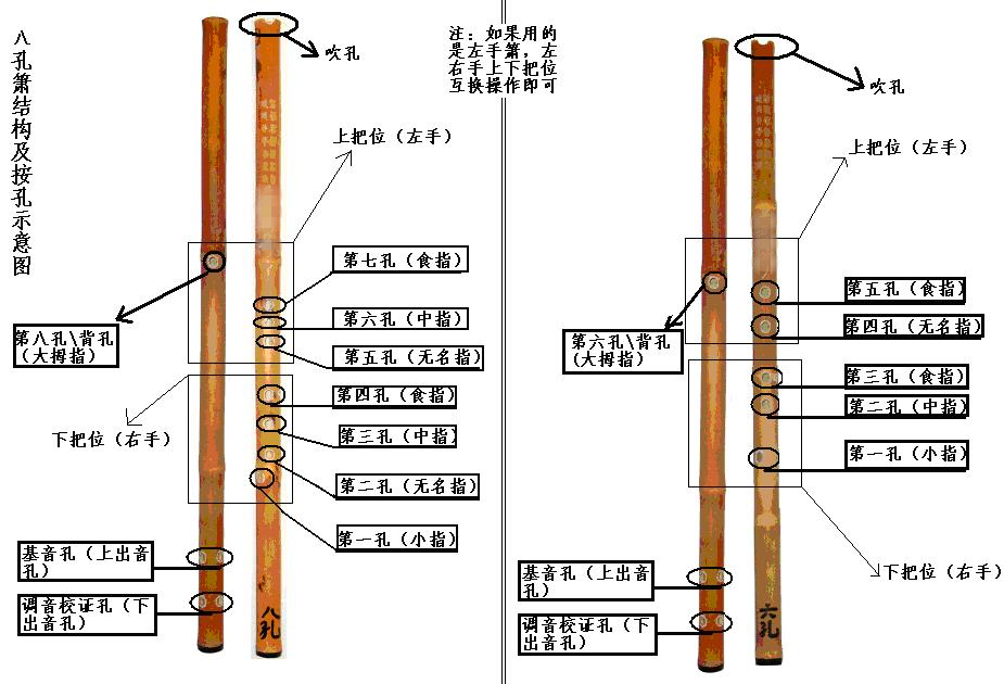 玉屏箫笛 山竹初级入门洞箫 八孔/六孔可选 初学箫 玉屏箫 山竹箫 赠