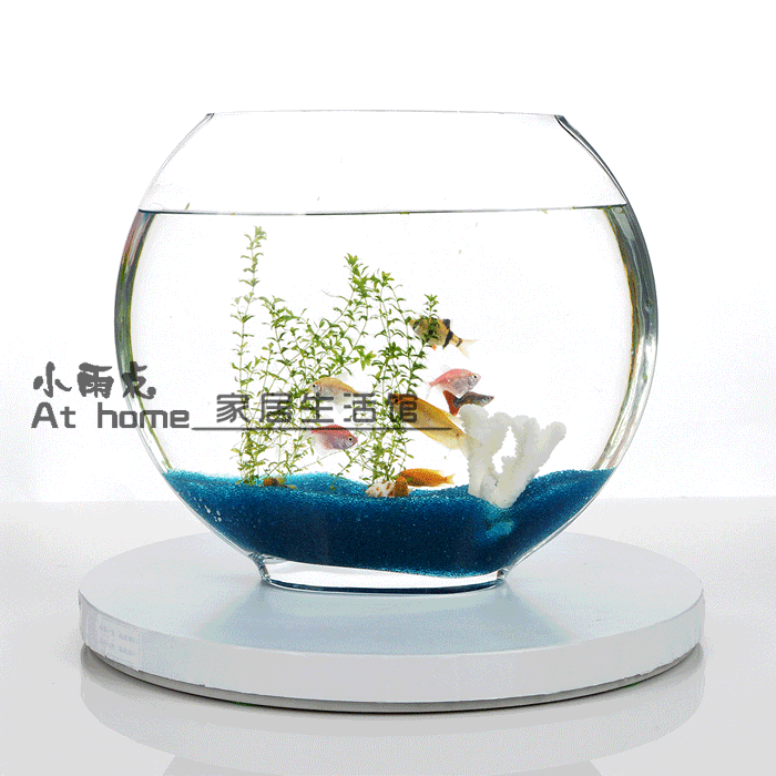 爆款包邮!透明玻璃花瓶 水培花器扁口玻璃鱼缸时尚 家居装饰水族