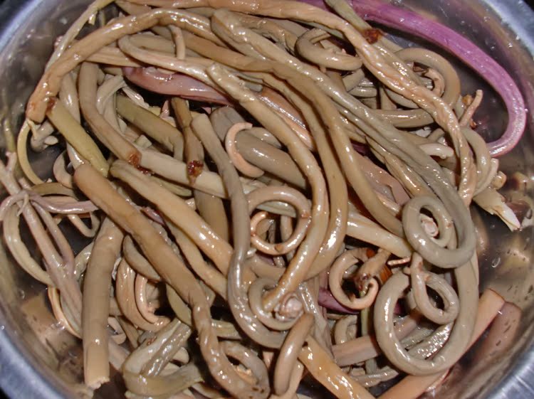 薇菜干牛毛广香苔纯山珍农家供应_薇菜干牛毛广香苔纯山珍农家供应供货商_供应薇菜干牛毛广香苔纯山珍农家供应_薇菜干牛毛广香苔纯山珍农家供应价格_红岩观山野土特产直销