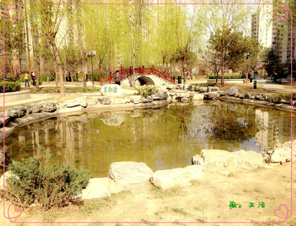 4.16 你说你最爱丁香花_妈妈爱晒_宝宝树