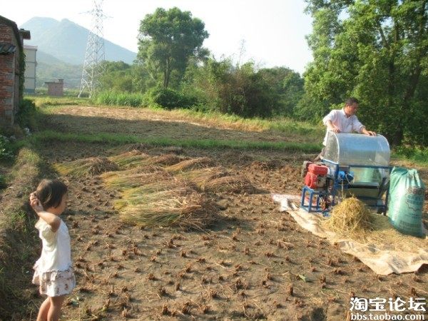 【创业日记】 变形记:胡耿 ,今天一斤枣也没卖出
