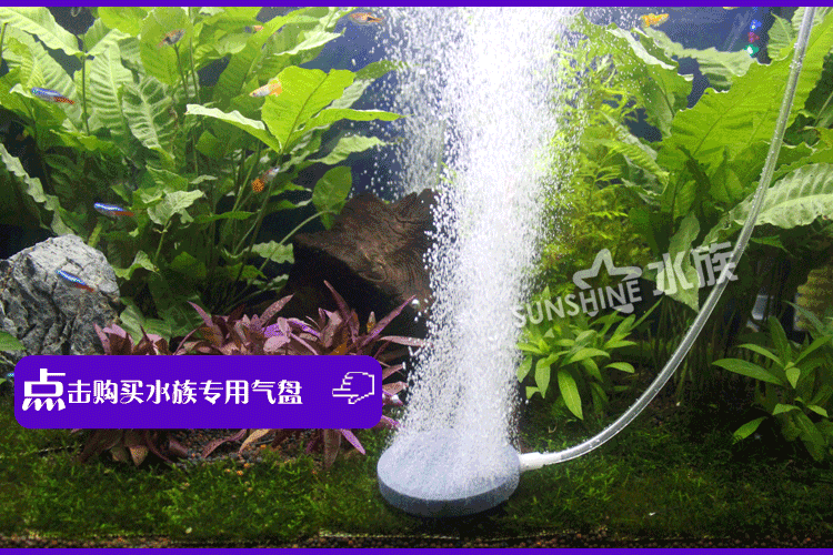 Насос для аквариума HIBIVE 50% Насос для аквариума HIBIVE 50%